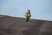 PJ-Motorsport-2019;anglesey-no-limits-trackday;anglesey-photographs;anglesey-trackday-photographs;enduro-digital-images;event-digital-images;eventdigitalimages;no-limits-trackdays;peter-wileman-photography;racing-digital-images;trac-mon;trackday-digital-images;trackday-photos;ty-croes